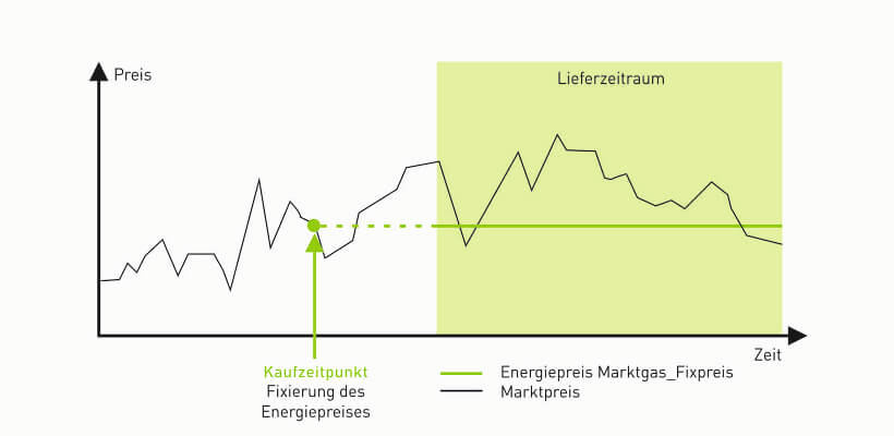 MarktGas Fixpreis 2025